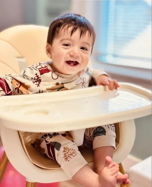 3-in-1 High Chair – Adjustable, with Tray & Harness - Image 3